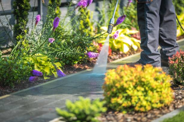 Best Driveway Pressure Washing  in East Point, GA